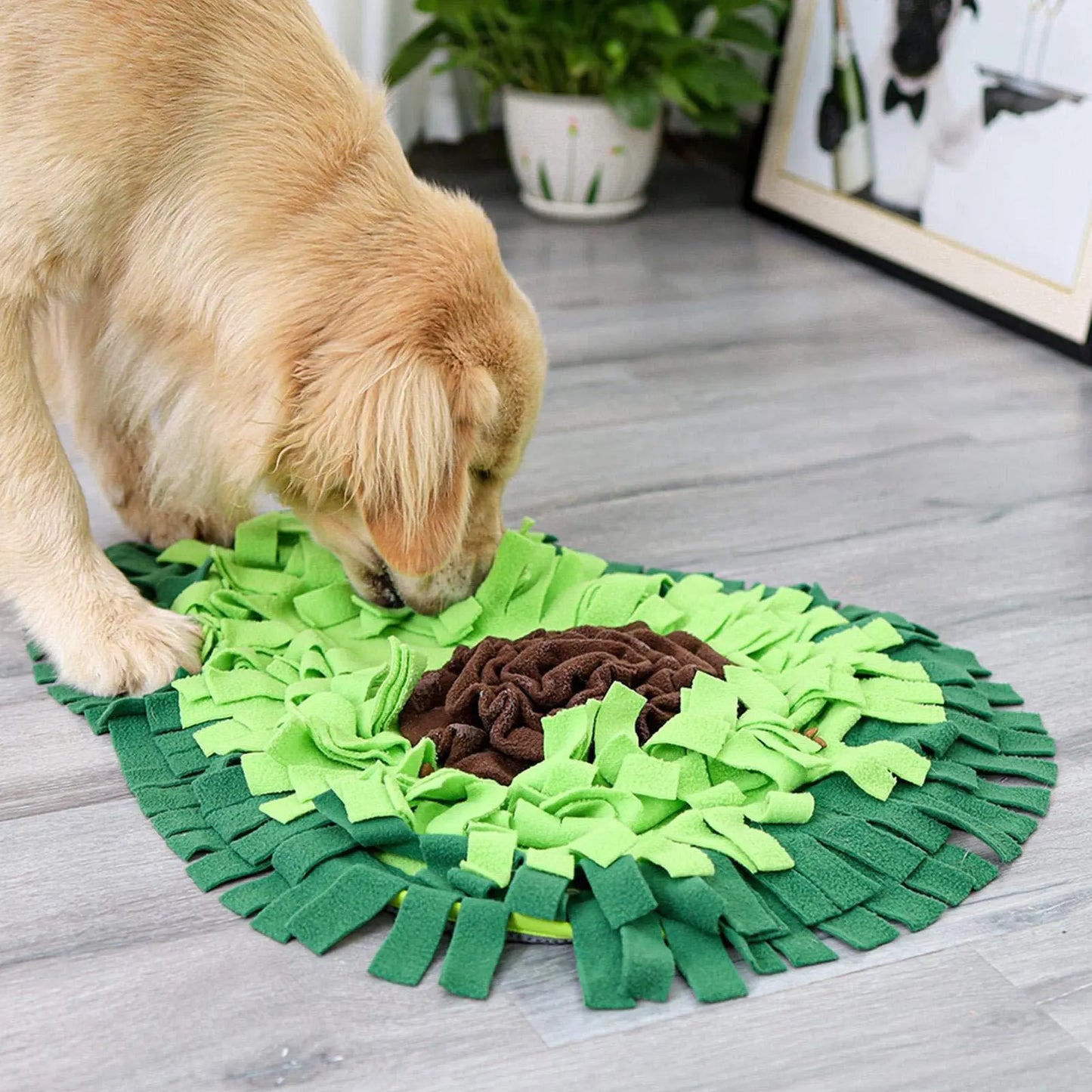 Sniffquest™ – Dog Snuffle Mat for Mental Stimulation & Slow Feeding
